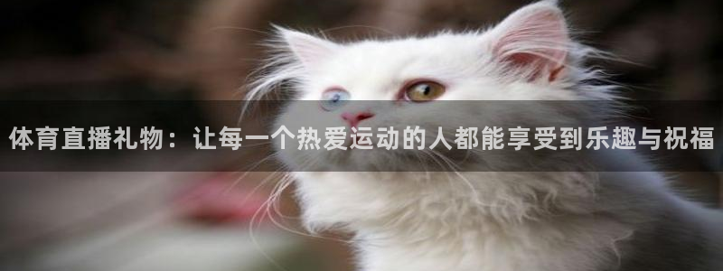 体育直播礼物：让每一个热爱运动的人都能享受到乐趣与祝福