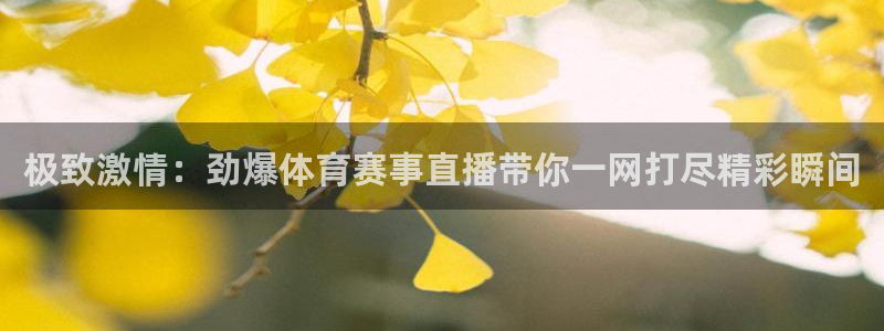 极致激情：劲爆体育赛事直播带你一网打尽精彩瞬间