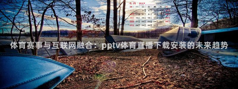 体育赛事与互联网融合：pptv体育直播下载安装的未来趋势