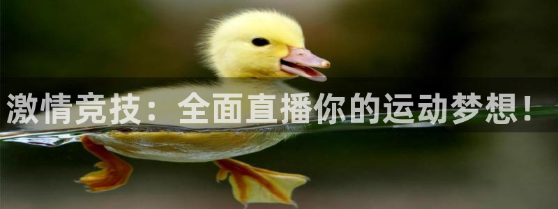 激情竞技：全面直播你的运动梦想！